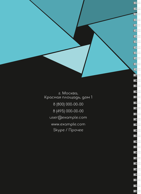 Блокноты-книжки A4 - Бирюзовый затвор Задняя обложка